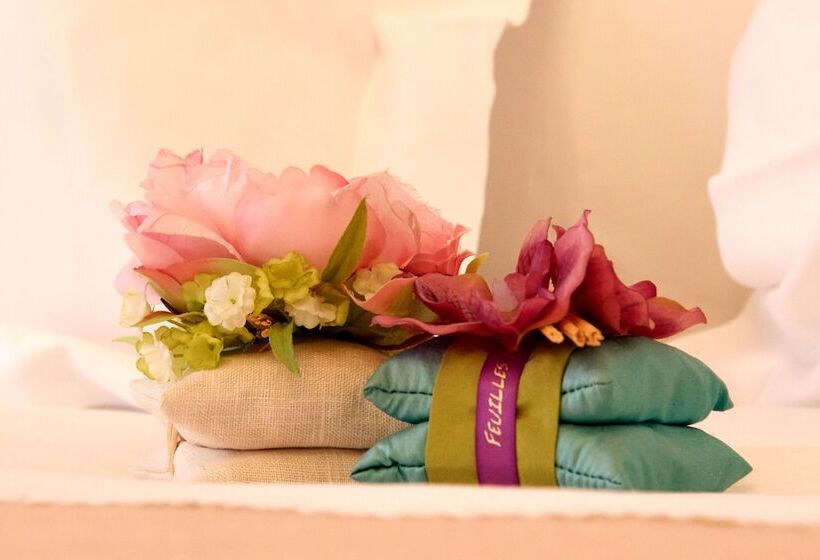 اتاق سوپریور, Grand Hôtel Des Ambassadeurs