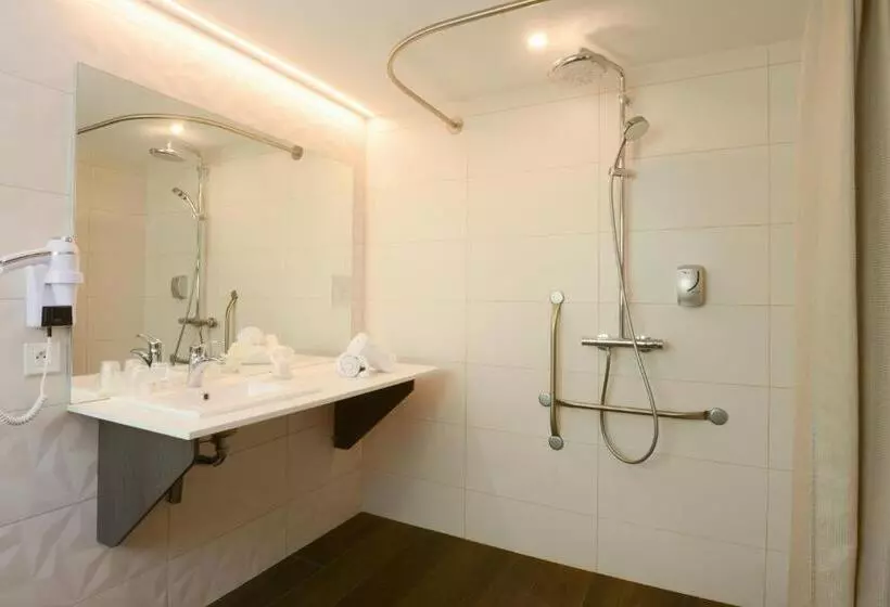 اتاق سوپریور, Contact Hotel Arc En Ciel Colmar