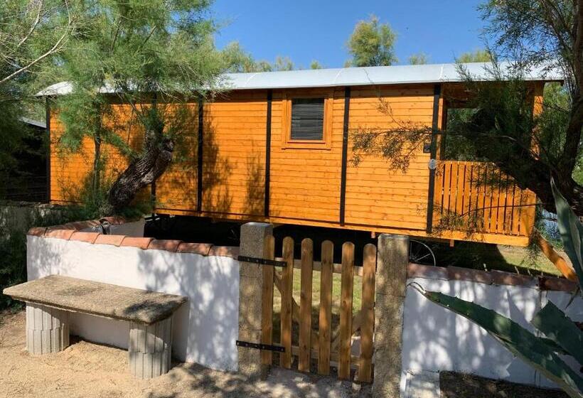 带花园景观的标准洋房, Clamador