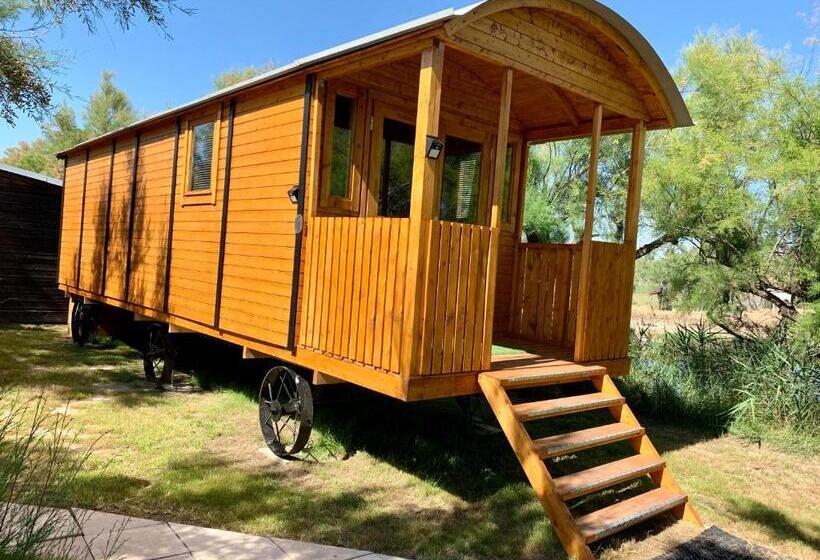 带花园景观的标准洋房, Clamador