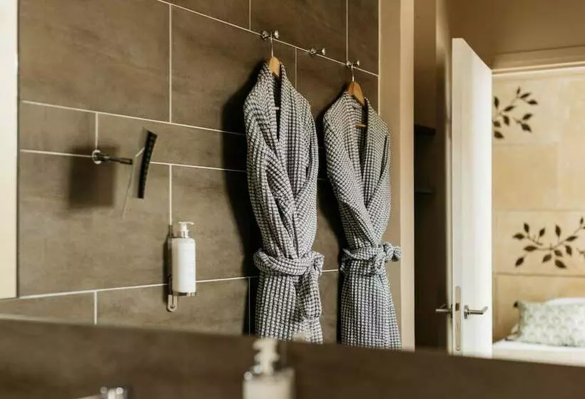 اتاق لوکس, Hôtel Cézanne Boutique Hôtel