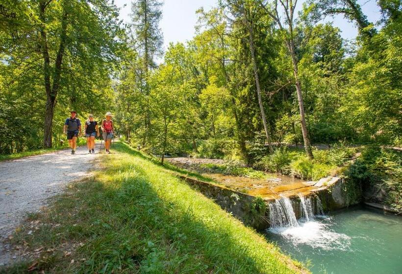 חדר סטודיו סטנדרד, Residence Radiana