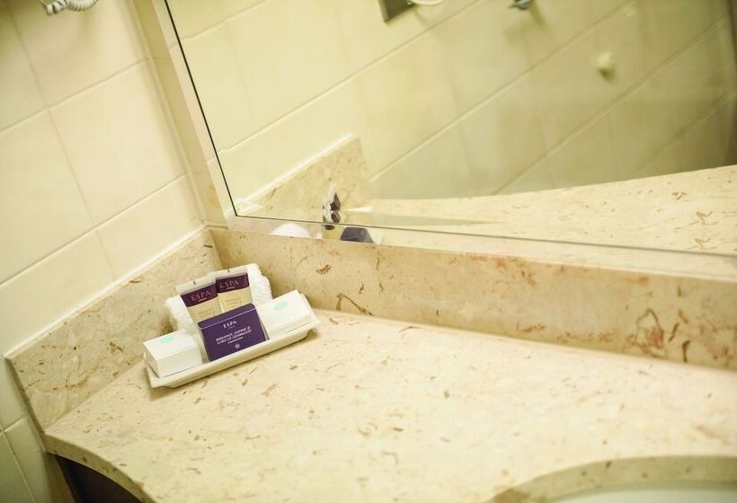 غرفة قياسية مطلّة علي البحيرة, Aztec Hotel And Spa