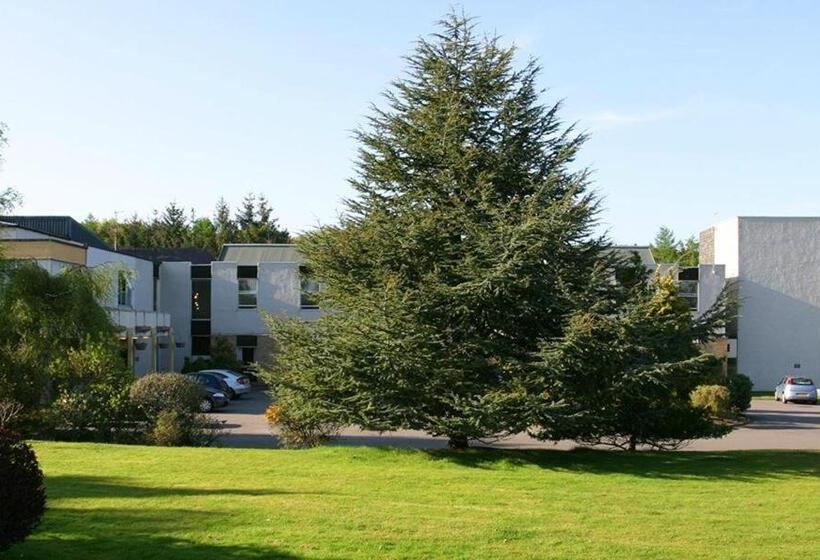 スタンダードシングルルーム, Eight Acres