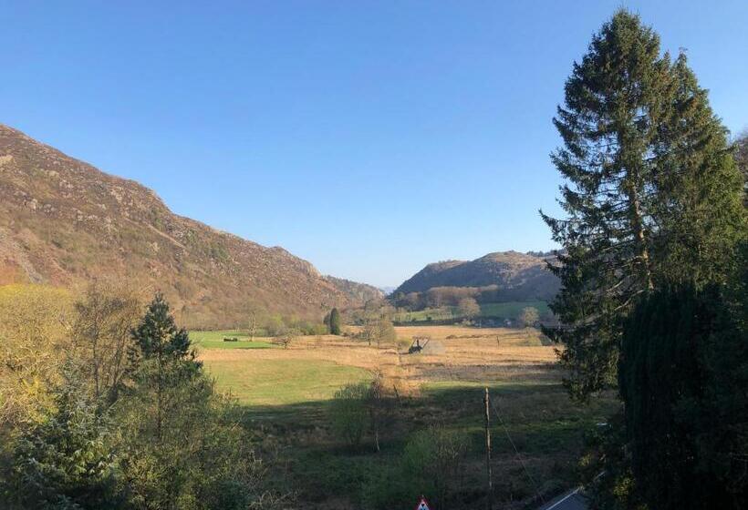 Семейный Номер, Royal Goat