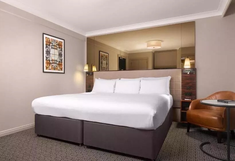 اتاق سوپریور با تخت بزرگ, Strand Palace