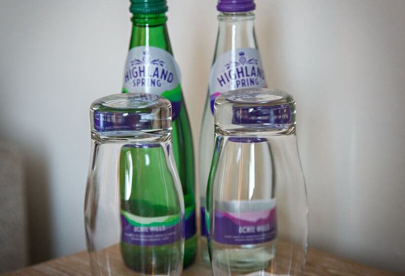 Номер Стандарт, The Maids Head