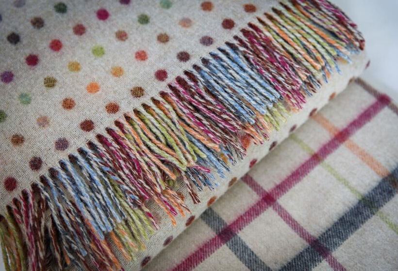 Номер Стандарт, The Maids Head