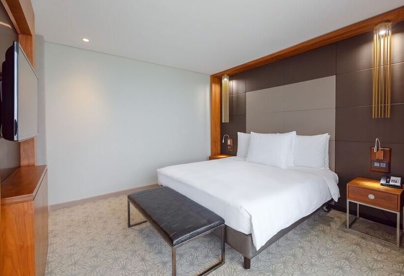 سوئیت اجرایی با چشم‌انداز دریا, Radisson Blu Okoume Palace Hotel, Libreville