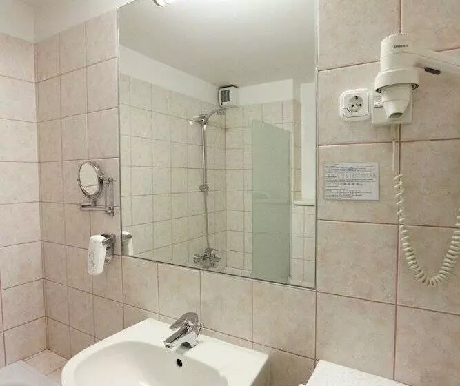 スーペリアールーム, Aranyhomok Business City Wellness