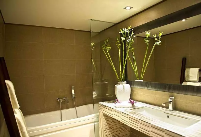 Suite Executive, Congo Palace