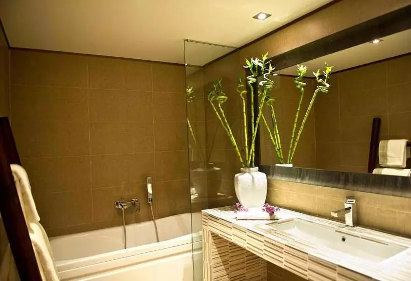 Suite Executive, Congo Palace