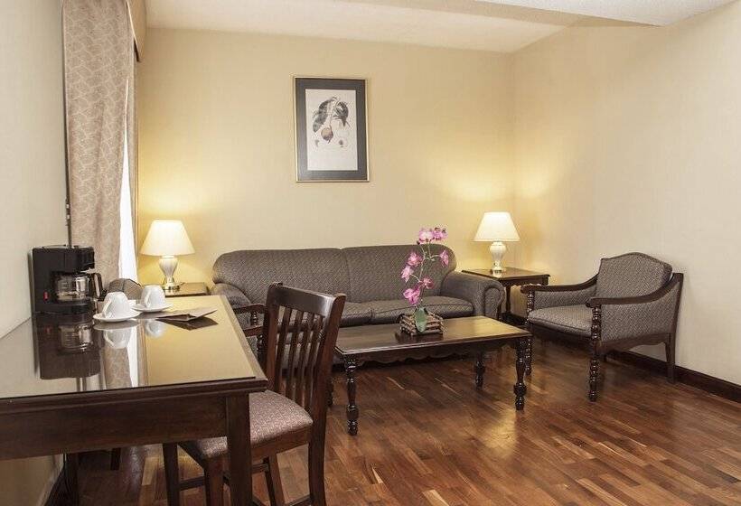 수피리어 룸, Conquistador Hotel & Conference Center