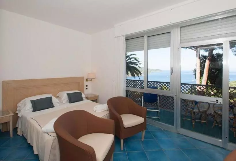 オーシャンビュースタンダードルーム, Th Capoliveri   Grand Hotel Elba International