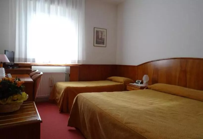 اتاق استاندارد سه نفره, Roma