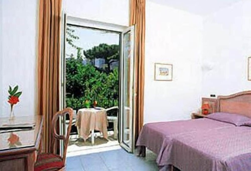 スタンダードルーム, Royal Terme