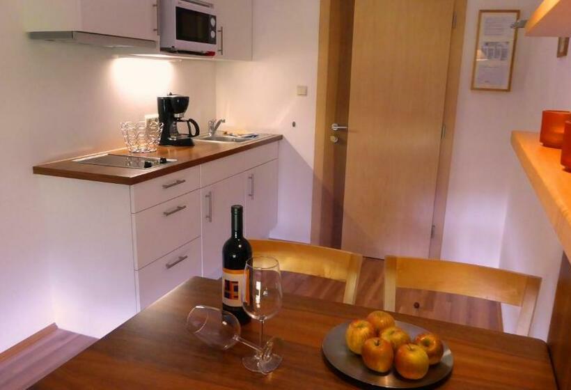 Апартаменты 1 Спальня с Видом, Apparthotel Maier