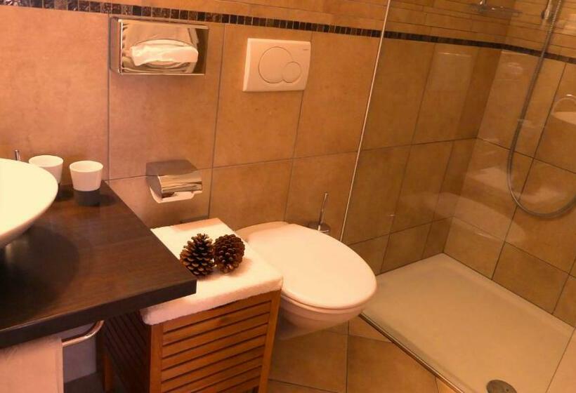 Апартаменты 1 Спальня с Видом, Apparthotel Maier