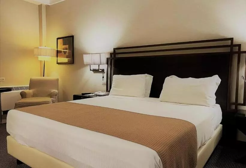 اتاق استاندارد با تخت بزرگ, Crowne Plaza Rome St. Peter S, An Ihg