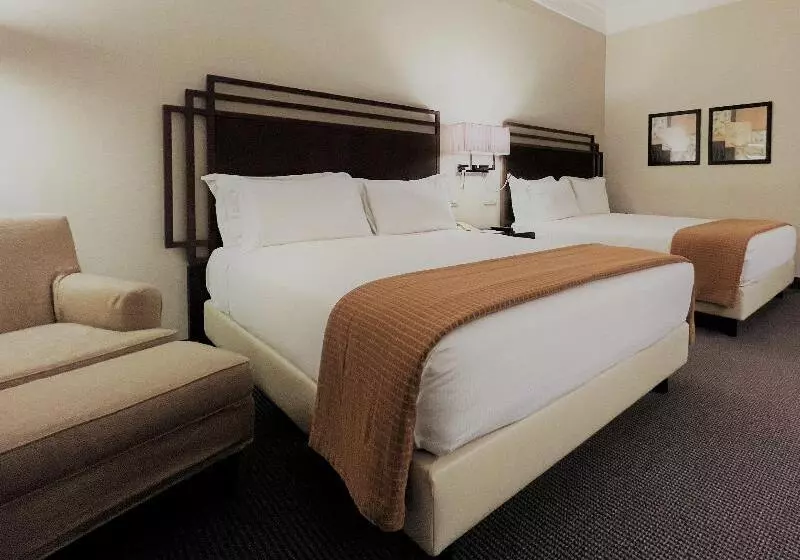 اتاق استاندارد برای معلولان, Crowne Plaza Rome St. Peter S, An Ihg