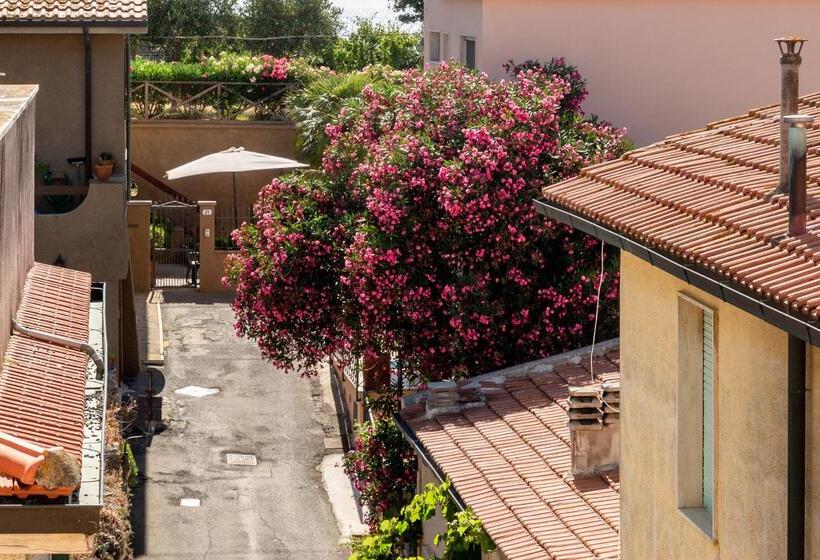 标准间, Il Telamonio