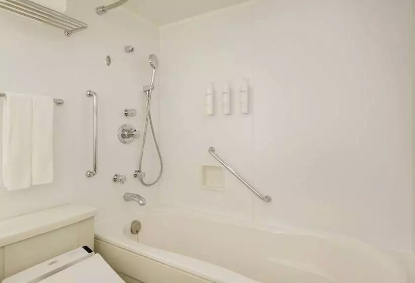 スタンダードルーム, Courtyard By Marriott Tokyo Ginza