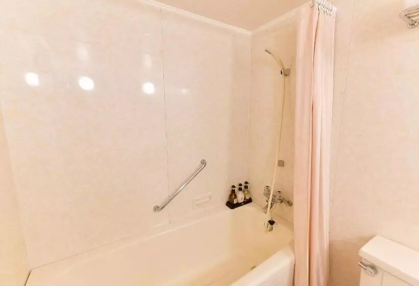 コンフォートルーム, Narita Tobu Hotel Airport