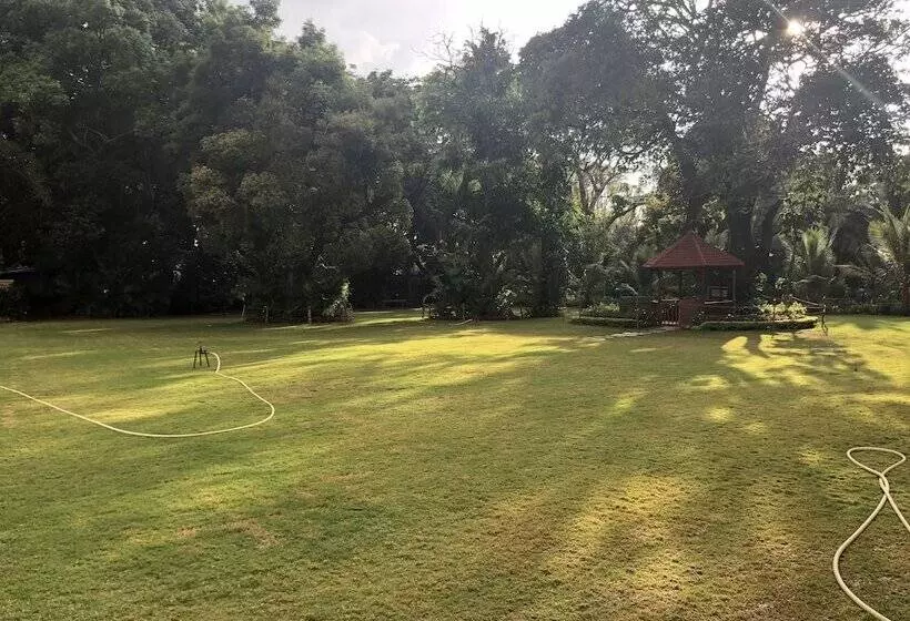 デラックスルーム, The Lalit Ashok