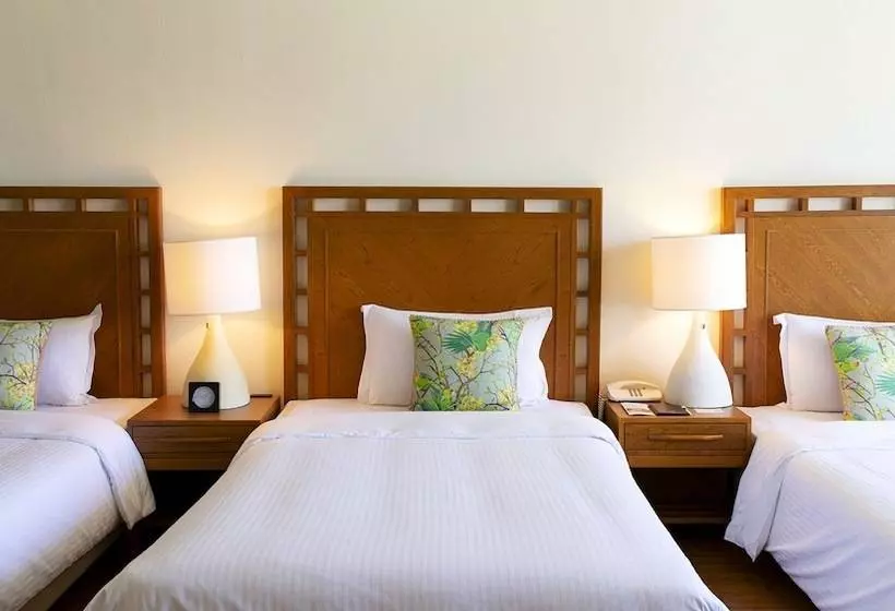 オーシャンビューデラックスルーム, The Moon Beach Museum Resort