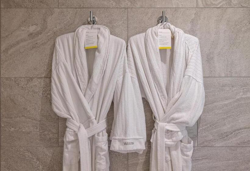 اتاق لوکس با چشمانداز, The Westin Miyako Kyoto