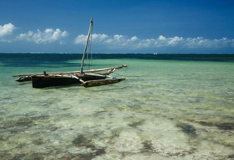 Люкс, Neptune Beach Resort All Inclusive