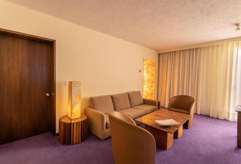 ジュニアスイート, Camino Real Polanco Mexico