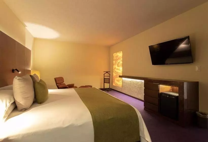 سوییت جونیور, Camino Real Polanco Mexico