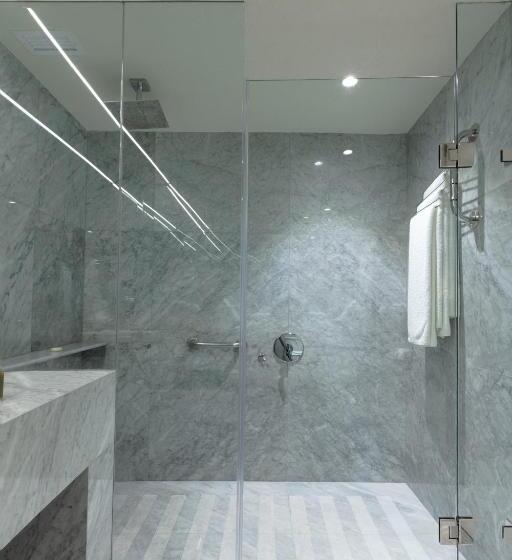 اتاق سوپریور با تخت بزرگ, Camino Real Polanco Mexico