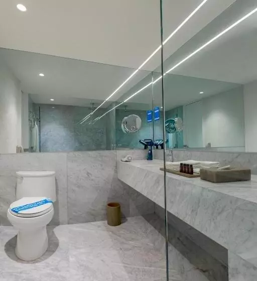 اتاق سوپریور با تخت بزرگ, Camino Real Polanco Mexico