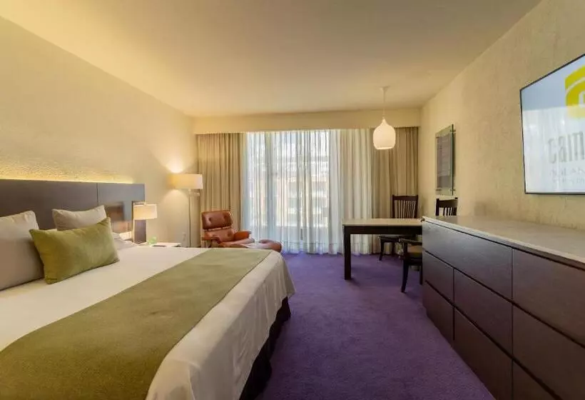 اتاق سوپریور با تخت بزرگ, Camino Real Polanco Mexico