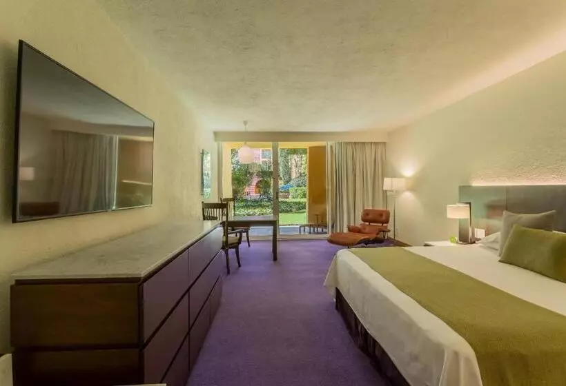 اتاق سوپریور با تخت بزرگ, Camino Real Polanco Mexico