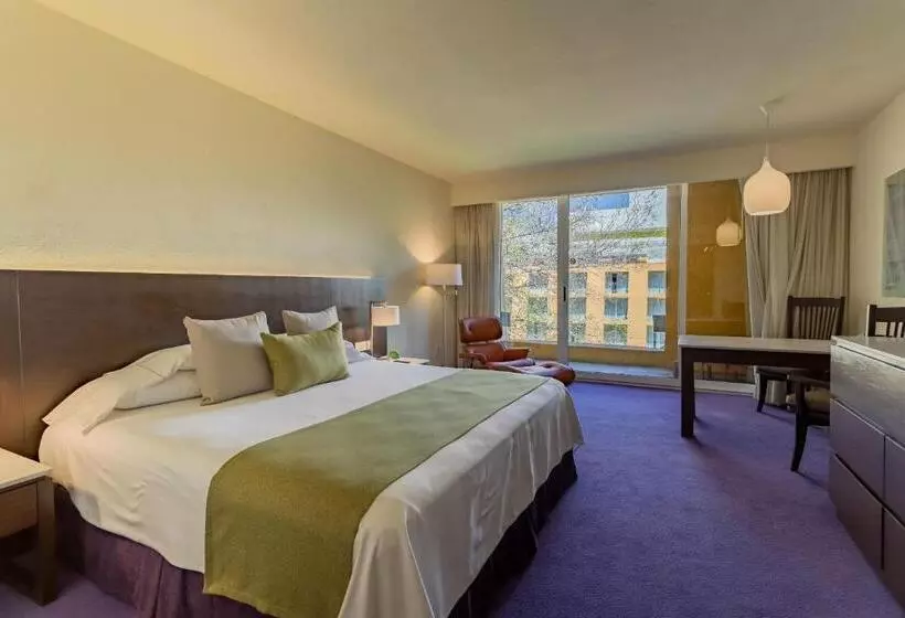 اتاق رویال, Camino Real Polanco Mexico