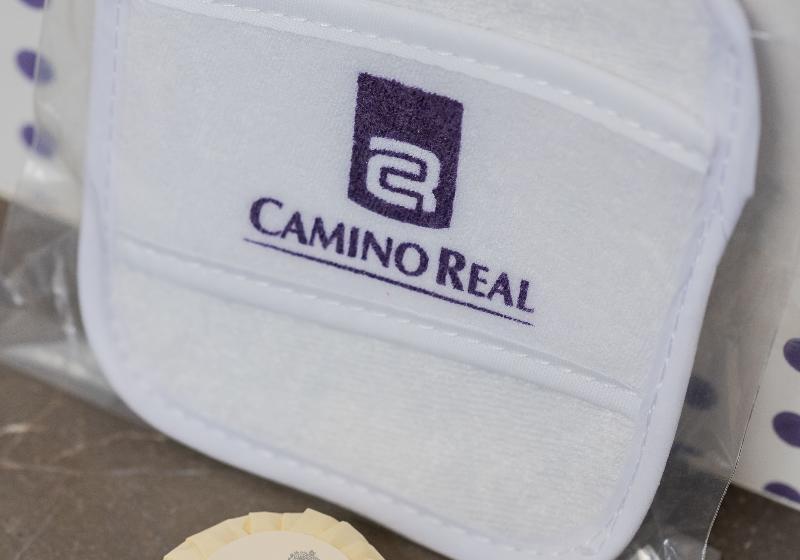 سوییت, Camino Real Polanco Mexico