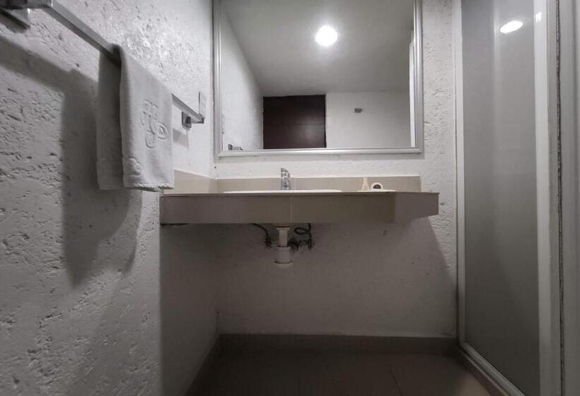 غرفة قياسية, Collection O Hotel Del Portal, Puebla