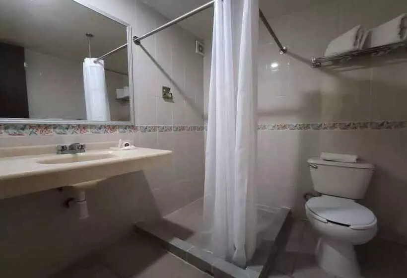 スタンダードルーム, Collection O Hotel Del Portal, Puebla