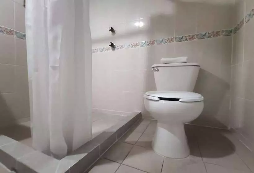 スタンダードルーム, Collection O Hotel Del Portal, Puebla
