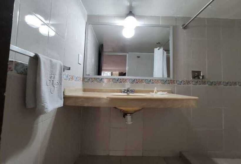 غرفة سوبيريور, Collection O Hotel Del Portal, Puebla