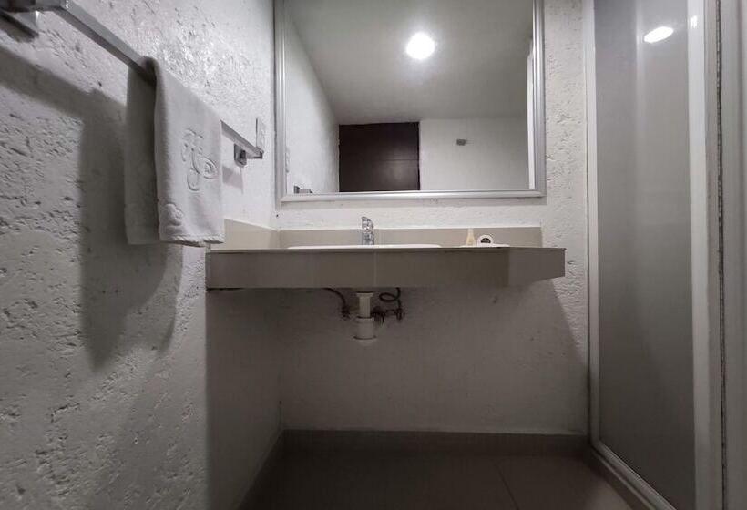 غرفة قياسية, Collection O Hotel Del Portal, Puebla