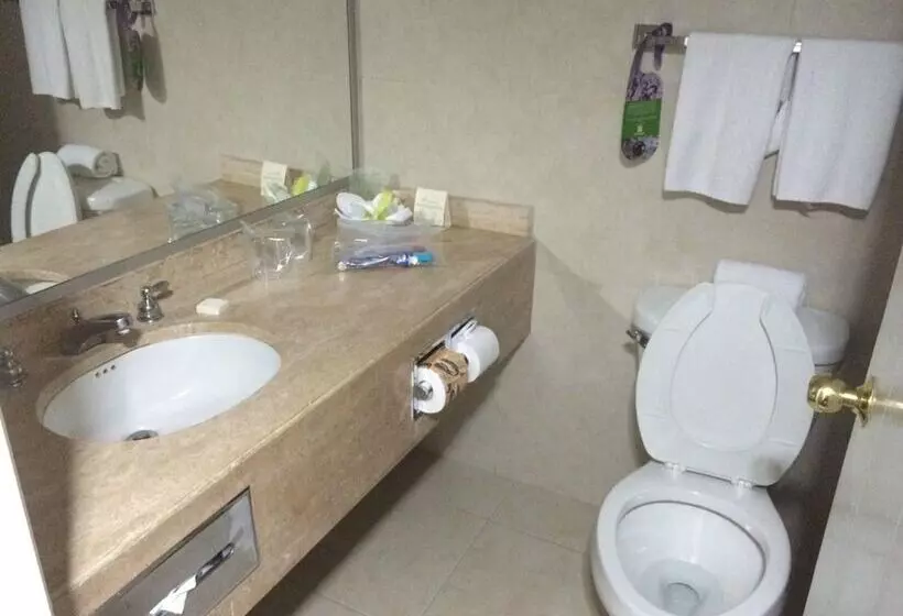 اتاق استاندارد با 2 تخت دوبل, Holiday Inn Monterrey Norte, An Ihg