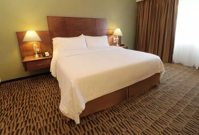 Premium-huone, Holiday Inn Monterrey Norte By Ihg