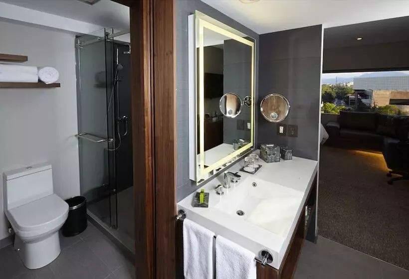 اتاق کلاسیک با تخت دوبل, Intercontinental Presidente Mexico City, An Ihg