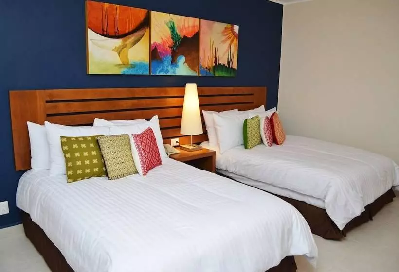 スタンダードルーム, Grand Decameron Los Cabos, A Trademark All Inclusive Resort