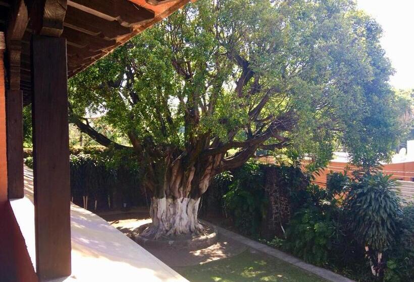 带大床的标准间, San Angelo