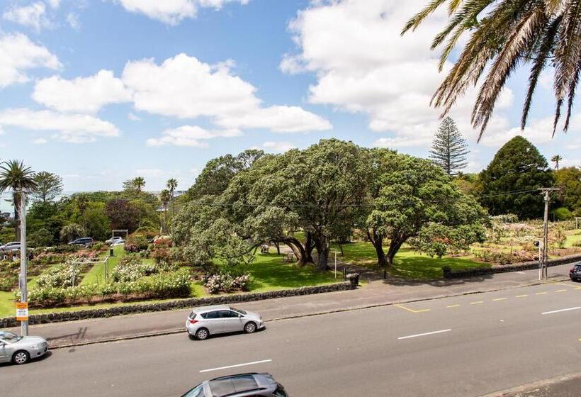 수피리어 룸, Auckland Rose Park